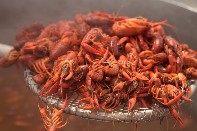 Learn How to Boil Crawfish the Cajun Cowboy Way